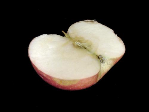 Pomme - Échaudure