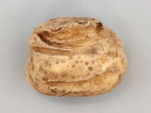 Pomme de terre - thifensulfuron-méthyle (2)_2