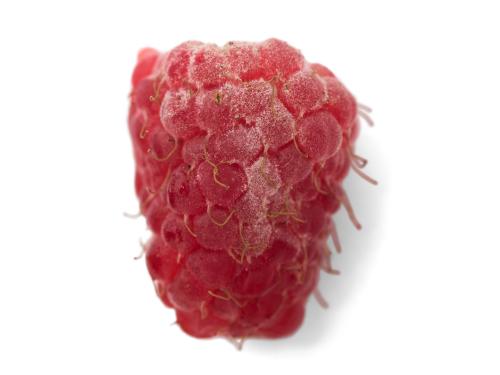 Framboise - Blanc (Podosphaera aphanis)_1