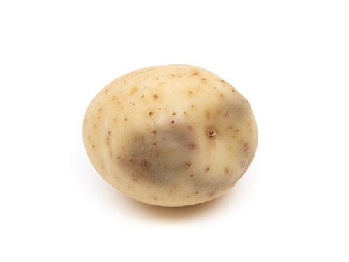 Pomme de terre - Verticilliose  (Verticillium dahliae)