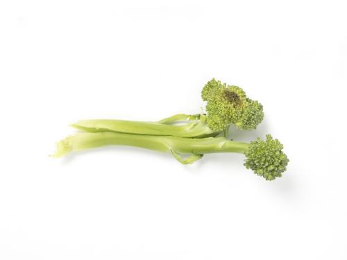 Brocoli - Tache noire alternarienne (Alternaria brassicicola)