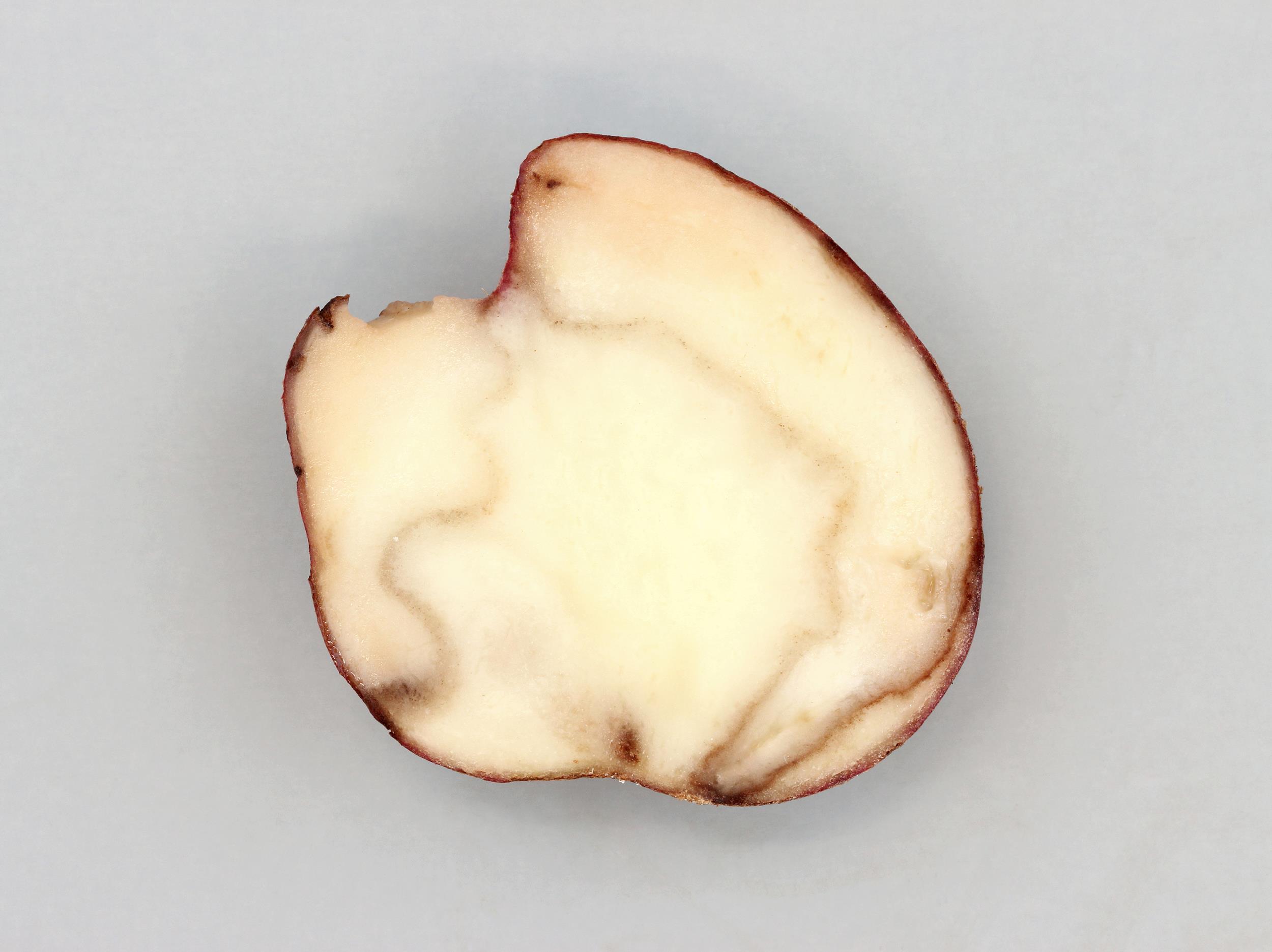 Pomme de terre - Gel en entrepôt