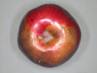 Pomme - Excès de dioxyde de carbone (CO2)_4