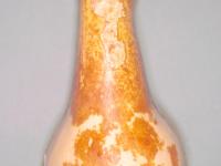 Courges - Chancre gommeux (Stagonosporopsis cucurbitacearum)