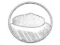 Identification_LiguleMembraneuse