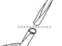 Identification_FeuilleEnroulee