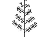 Identification_InflPanicule