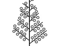 Identification_InflPanicule