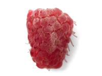 Framboise - Blanc (Podosphaera aphanis)_1