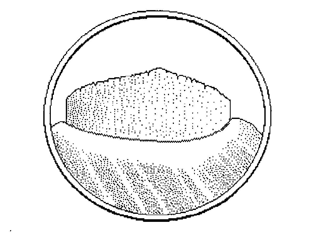 Identification_LiguleMembraneuse