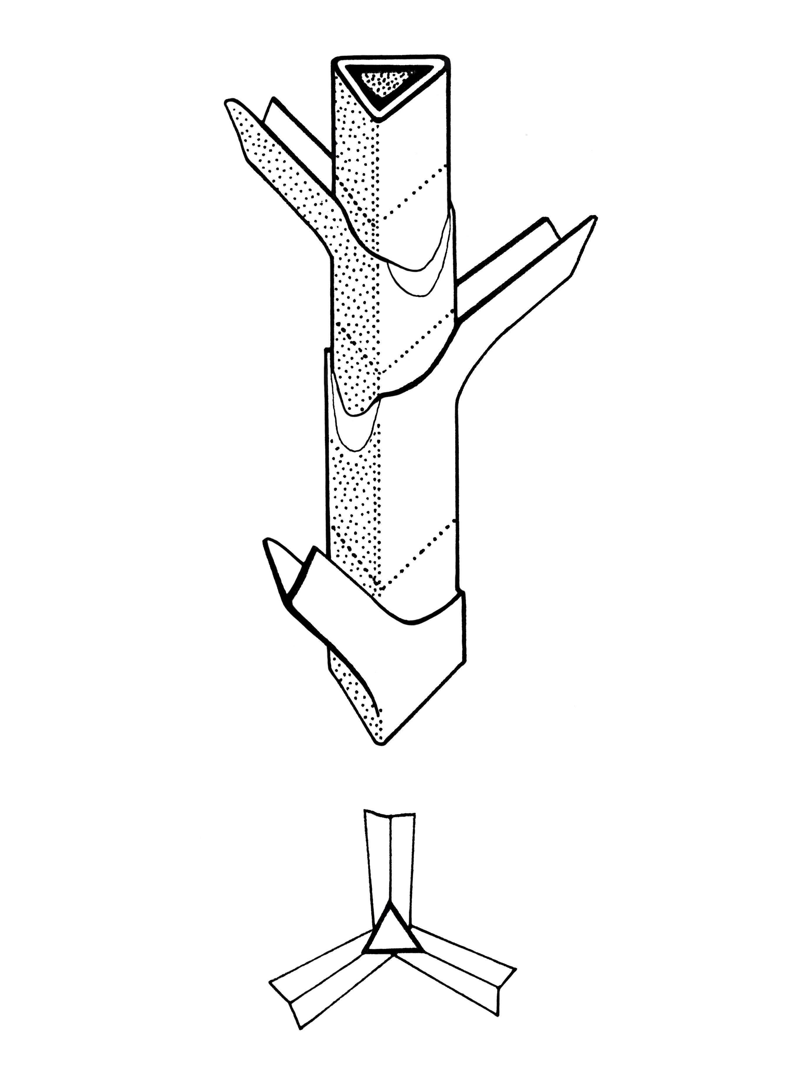 Identification_TigeTriangle
