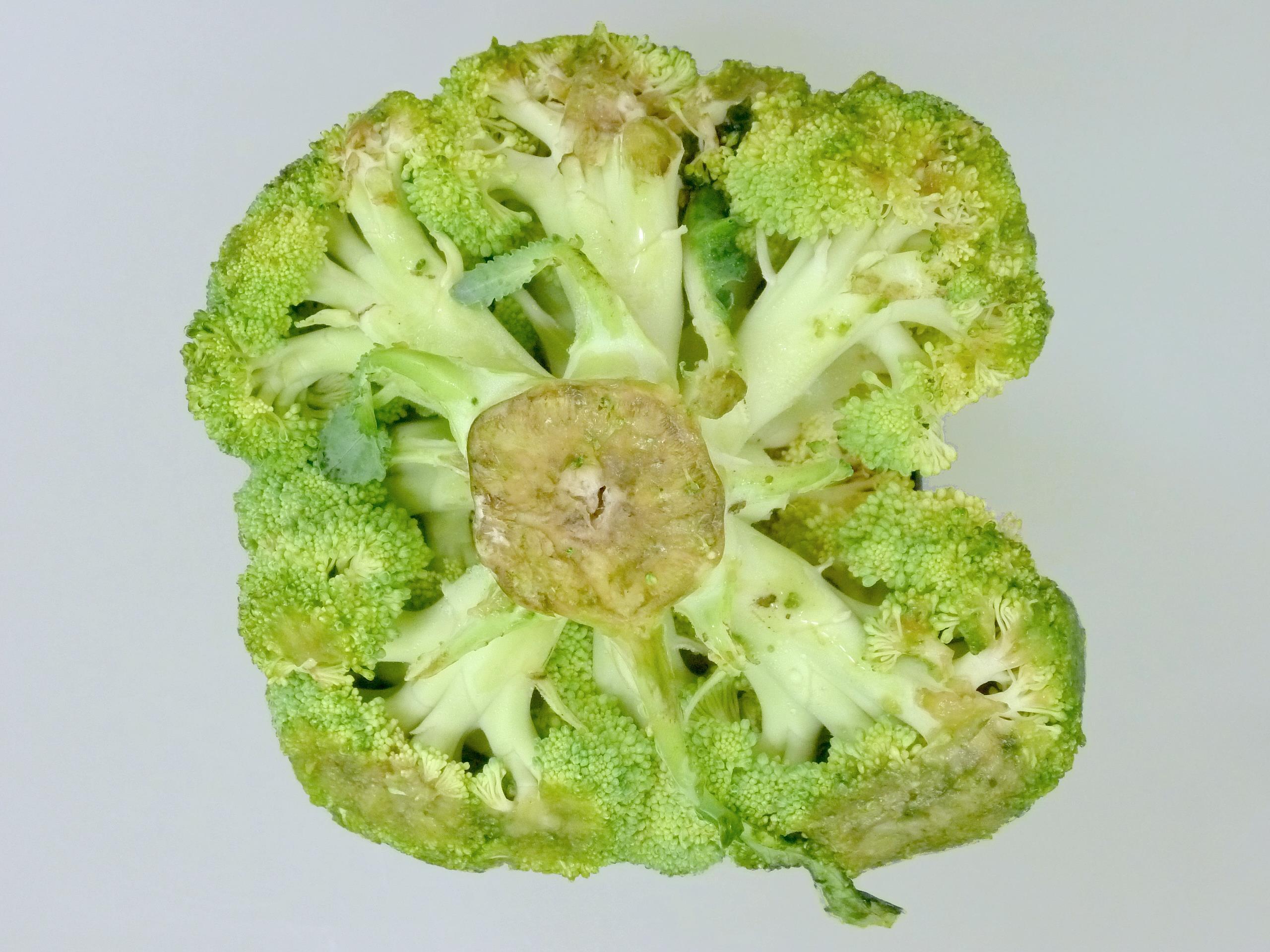 Brocoli - Pourriture molle bactérienne (Pectobacterium carotovorum)