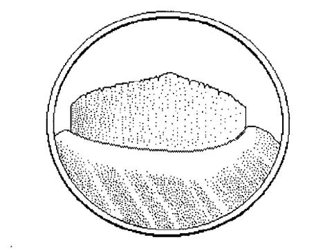 Identification_LiguleMembraneuse